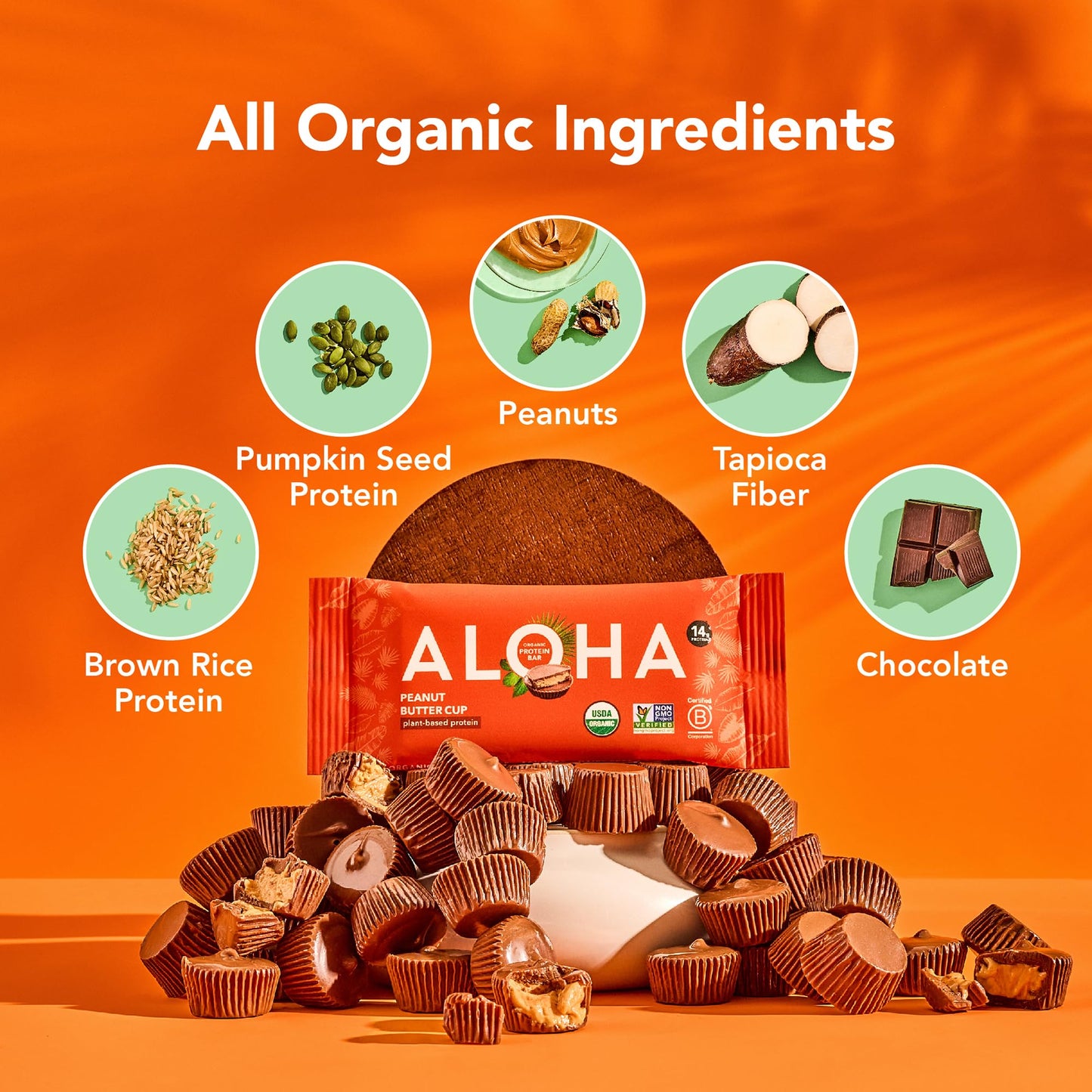 ALOHA Organic Plant Based Protein Bars - Peanut Butter Cup Bar - 12 Bars, Vegan, Low Sugar, Gluten-Free, Low Carb, Non-GMO, No Stevia, No Erythritol