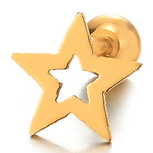 Pair Stainless Steel Star Pentagram Stud Earrings for Men Women and, Screw Back