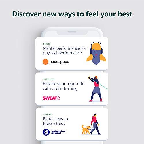 Amazon Halo Band - Large – Measure how you move, sleep, and sound – Designed with privacy in mind - Winter + Silver