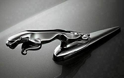 Car Craft F Pace Logo Chrome Badge Compatible with Jaguar F Pace Logo Xjl Style Hood Xkr 2008-2020 Chrome