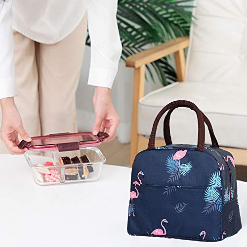 Xelvix Insulated Lunch Bags Small for Women Work,Student Kids to School,Thermal Cooler Tote Bag Picnic Organizer Storage Lunch Box Portable and Reusable (Blue Flamingo)