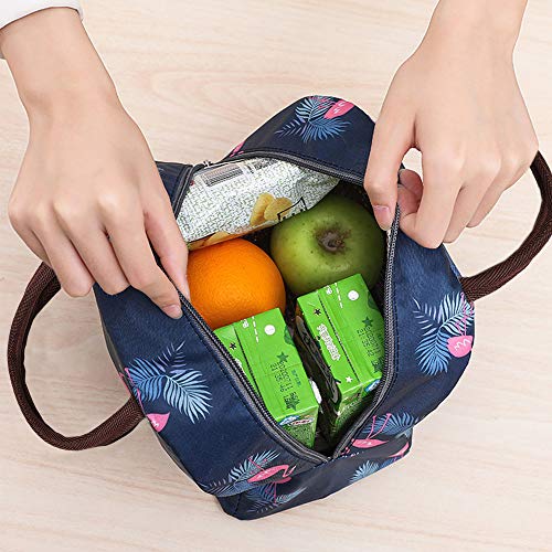 Xelvix Insulated Lunch Bags Small for Women Work,Student Kids to School,Thermal Cooler Tote Bag Picnic Organizer Storage Lunch Box Portable and Reusable (Blue Flamingo)